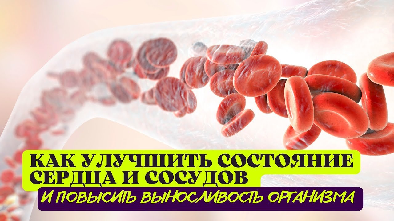 Как улучшить состояние сердца и сосудов и повысить выносливость организма