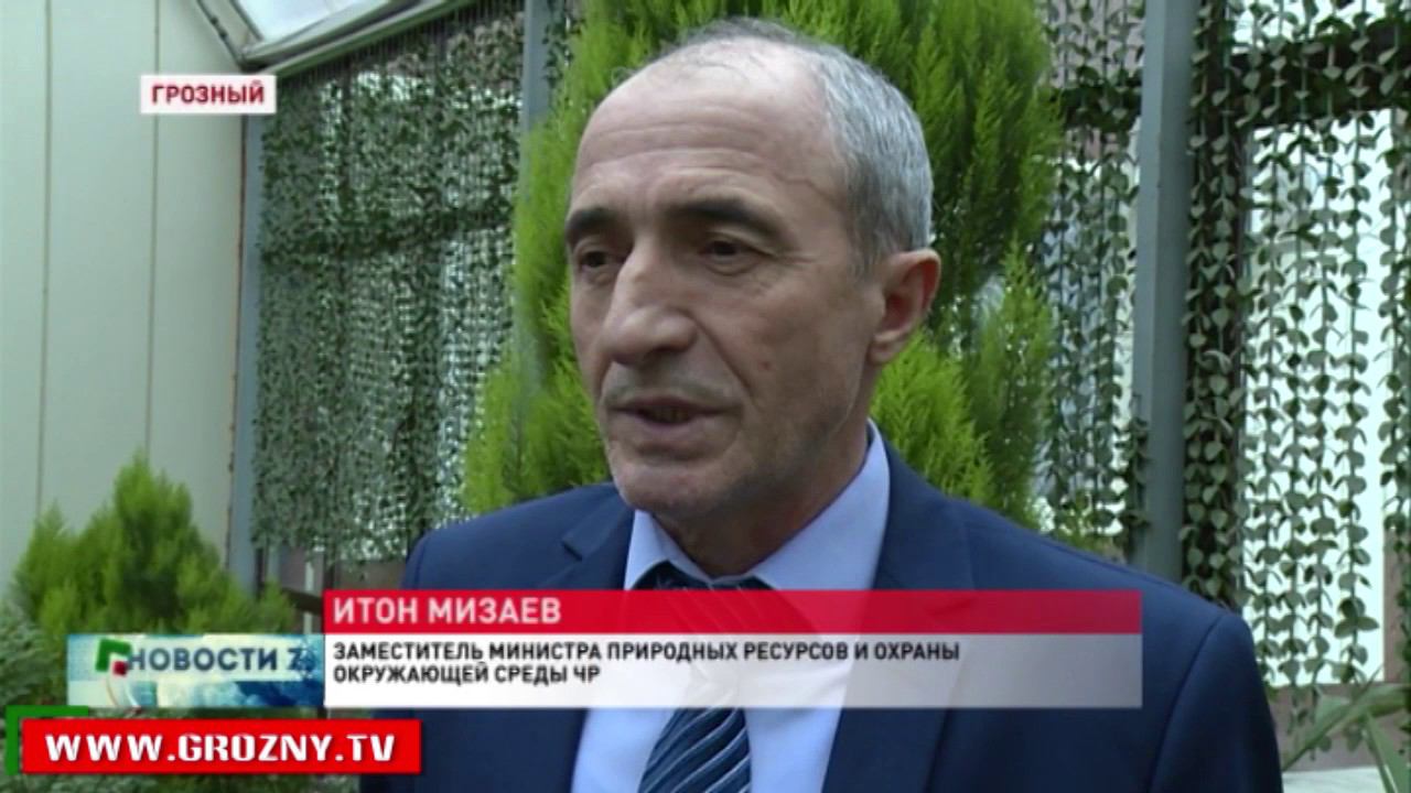 Виса мизаев