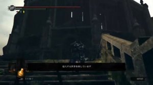 (PSN) Dark Souls Remastered PVP