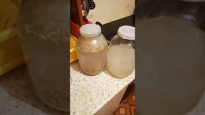 Овсяный квас. Просто и вкусно.