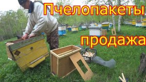 Продажа пчелопакетов. От Пакета до Семьи!