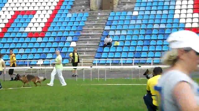 Рабочий класс сук 4 _ Russian Siegerschau 2015