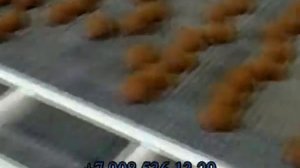Тоннельные печи J4. Пряник.