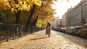 Листья жёлтые над городом кружатся