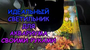 ИДЕАЛЬНЫЙ СВЕТИЛЬНИК ДЛЯ АКВАРИУМА СВОИМИ РУКАМИ #АКВАМЕН #СВОИМИ_РУКАМИ