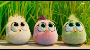 Dance Battle Scene - THE ANGRY BIRDS MOVIE 2 (2019)