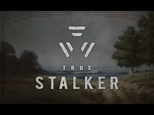 S.T.A.L.K.E.R. True Stalker стрим #9 Новый патч 1.5