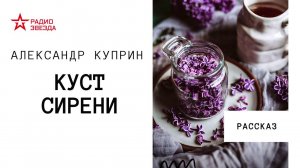 Александр Куприн. Куст сирени. Аудиорассказ