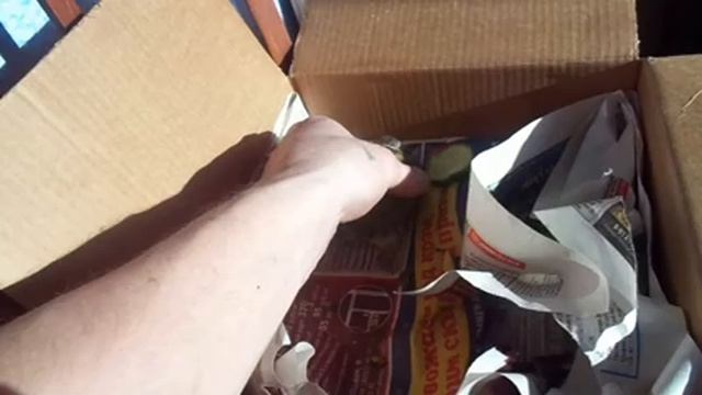 Зверье мое. Сухопутные черепахи смотреть онлайн