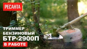 Бензиновый триммер РЕСАНТА БТР-2900П в работе