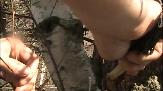 Birch Sap/Seva De Mesteacan смотреть онлайн