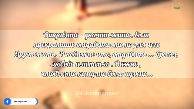 Мечтай....