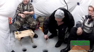 Бешеный клёв ельца серия №-2 усольский-район,иркутская-область