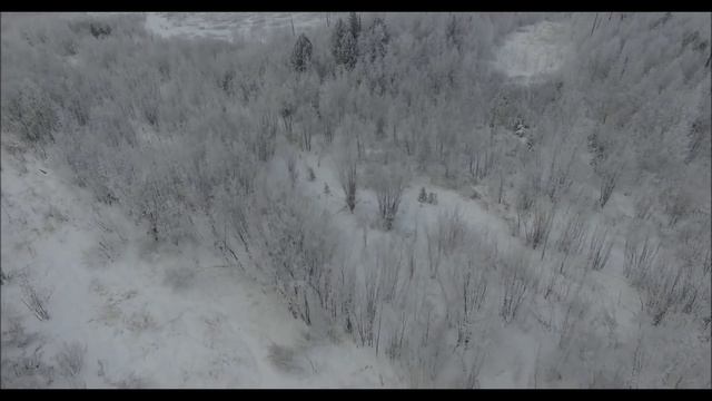 Полет над лесом, Phantom-3 pro. Поиски дрона. смотреть онлайн