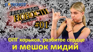 ОПГ хорьков, разбитое сердце и мешок мидий: что обсуждали краснодарцы в августе