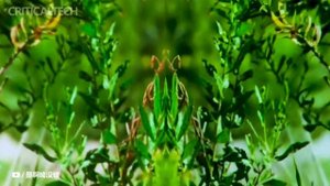 Dangbei X5 Ultra | 4K Laser ALPD 5.0 Projector 2023!