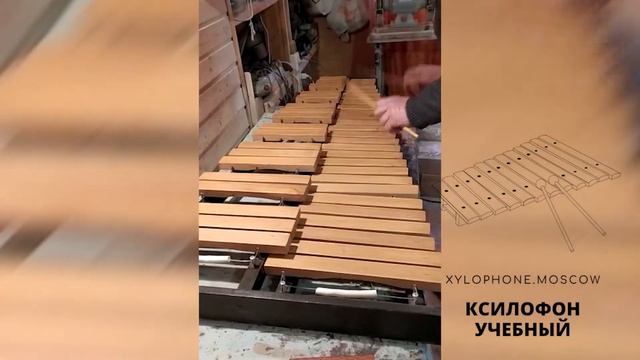 Ксилофон учебный из Бука