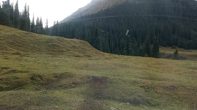Ущелье Алтын - Арашан