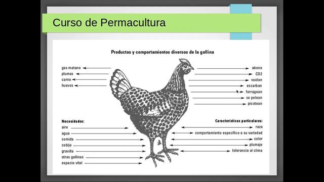 Curso de Permacultura de Bill Mollison y Geoff Lawton. Parte II