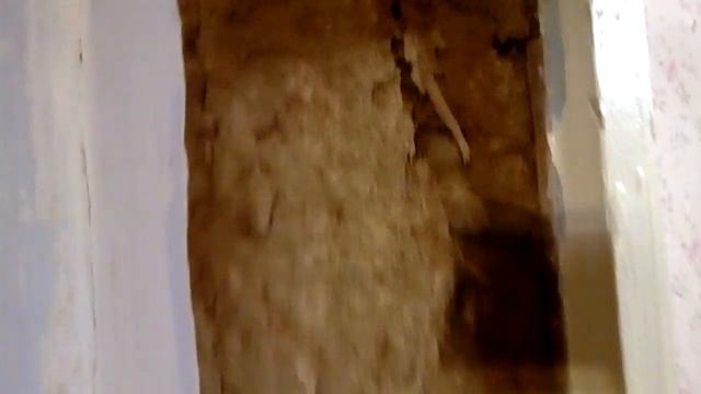 Перенос дверного проёма. Часть 1. Начало смотреть онлайн