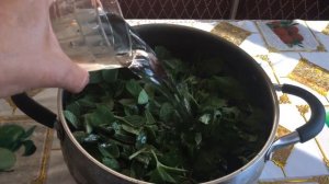 Настало время заготовок,готовлю мятный сироп