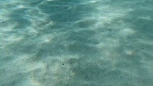 GoPro 10 съёмки под водой .