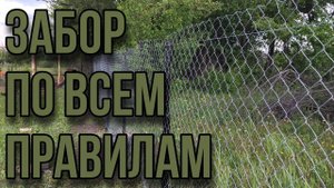 Как построить забор быстро и не дорого? Огораживаю участок  сеткой рабицой по всем правилам.
