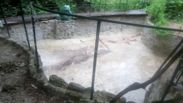 Кемпинг "Назарова дача"/ Архипо-осиповка / Черное море // Camping / cottage / black sea смотреть онлайн