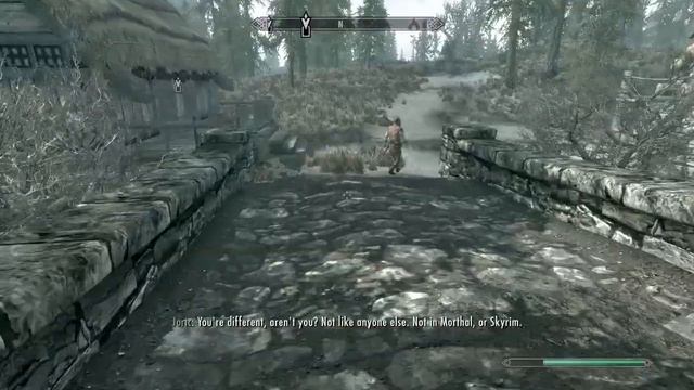 SKYRIM: Danzahkiin Daily Pt83 BRIDGE BRAWL смотреть онлайн