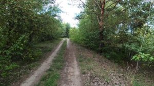 Велопрогулка по Лесобазе