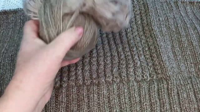 ВязаниеСп_Дыхание_Осени_Отчет9Участник5ПродвиженияЕсть..mp4