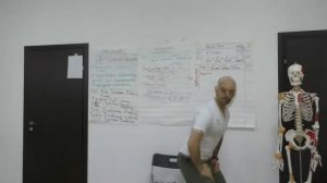 Планирование групповой тренировки по стретчингу. Часть 2