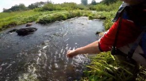 Покатушка на Святое озеро, 176-й км, Жуковский район, 20.08.2023