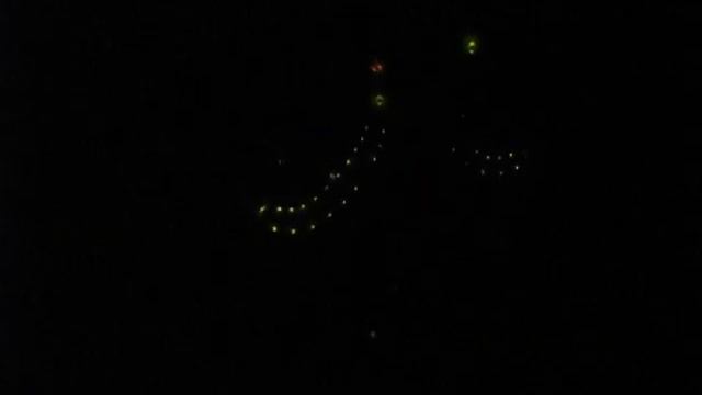 Genus Phrixothrix? Collage смотреть онлайн