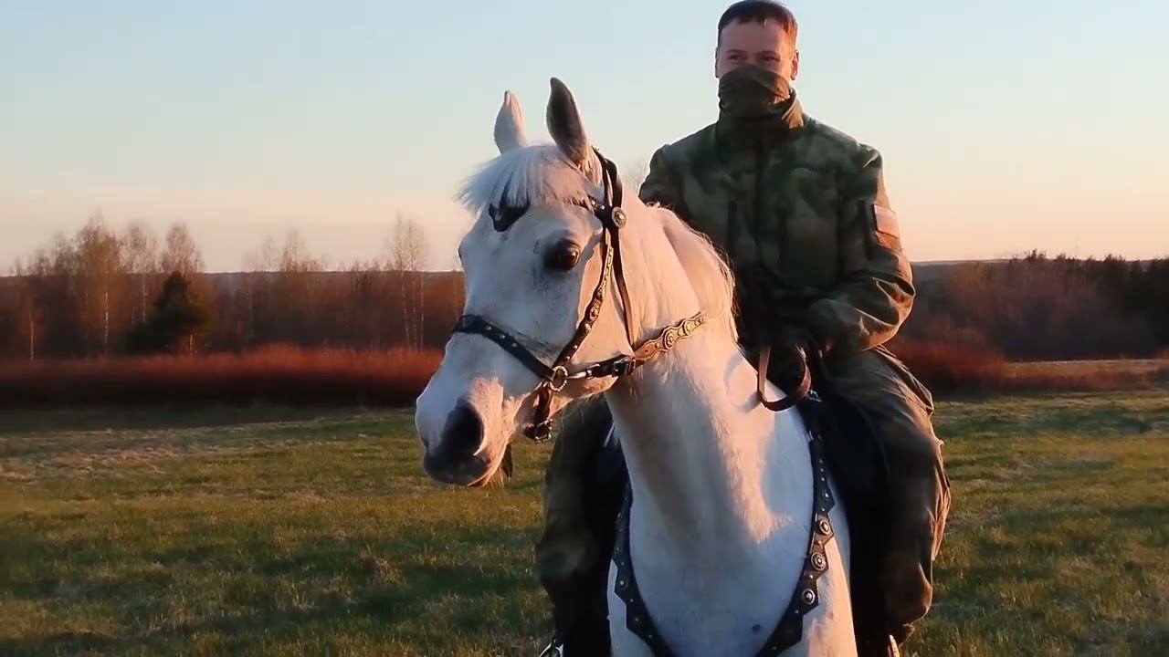 Весеннее настроение. смотреть онлайн