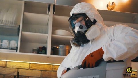 DEZCITY Дезинсекция профессионально