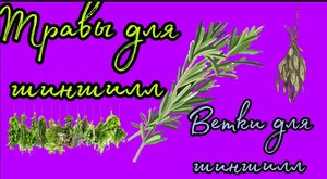 Травы для шиншилл.Ветки для шиншилл.