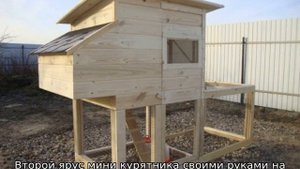 Курятник на 5 кур
