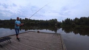 Лучшая рыбалка на карпа и амура. Михайловское озеро.