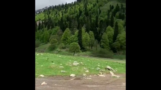 Перевал Пыв и Альпийские луга │Абхазия, экскурсии смотреть онлайн
