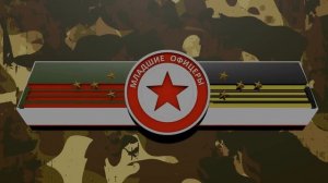 ПОГОНЫ И ЗВАНИЯ в 1943