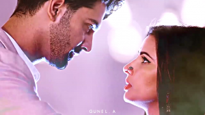 Advay & Chandni | Shivaay & Anika : Ijazat