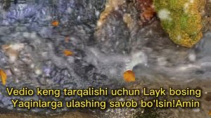 Оятал Курси, Аят Аль-Курси,  Oyatal Kursi, AYATUL KURSI  اية الكرسي ‫| Marwan Al Dostaki |