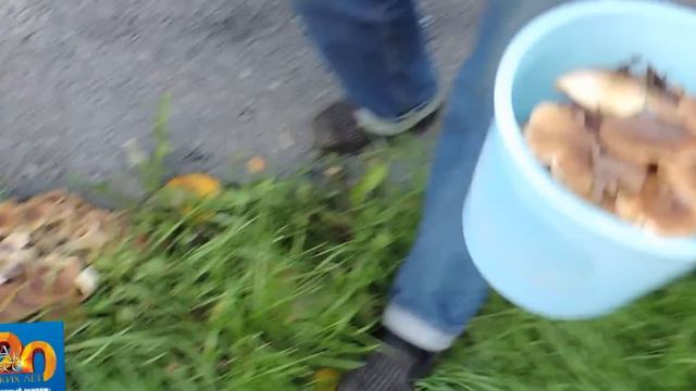 Чем богат наш Абак-Пресс смотреть онлайн