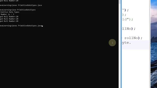 Java Primitive Data Types And Variables Declaration - Part-05
