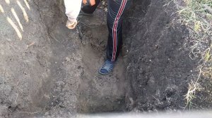 Какая глубина чернозема в Украине,чернозем,глубина чернозема,земля,глина,черное золото,