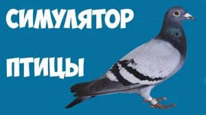 Симулятор голубя. Город. Обзор игры.
