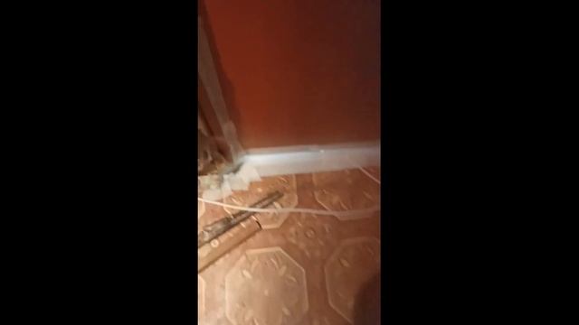 ⚡Озонирование VS Трупный запах в комнате. Тяжёлый запах - ? Суточная обработка! смотреть онлайн