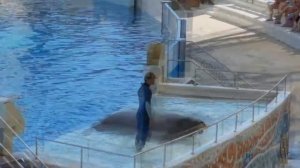 Ленд оф легенд. Land of Legeds.