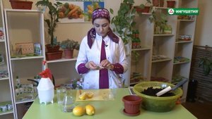 Как посадить лимон